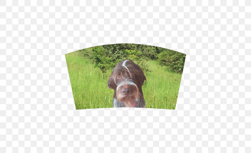 Dog Breed Wirehaired Pointing Griffon German Wirehaired Pointer Sporting Group, PNG, 500x500px, Dog Breed, Breed, Dog, Dog Like Mammal, German Wirehaired Pointer Download Free