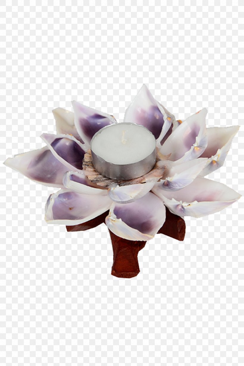 Seashell Shellcraft Art Conch Handicraft, PNG, 900x1350px, Seashell, Art, Artisan, Candle, Candlestick Download Free