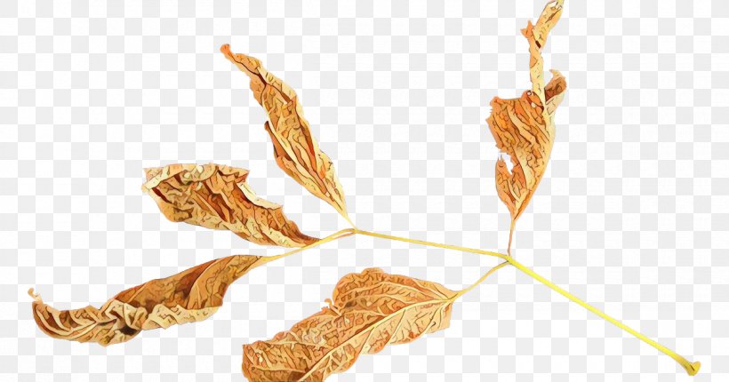 Watercolor Leaf, PNG, 1200x630px, Leaf, Computer Graphics, Food, Grass Family, Plant Download Free