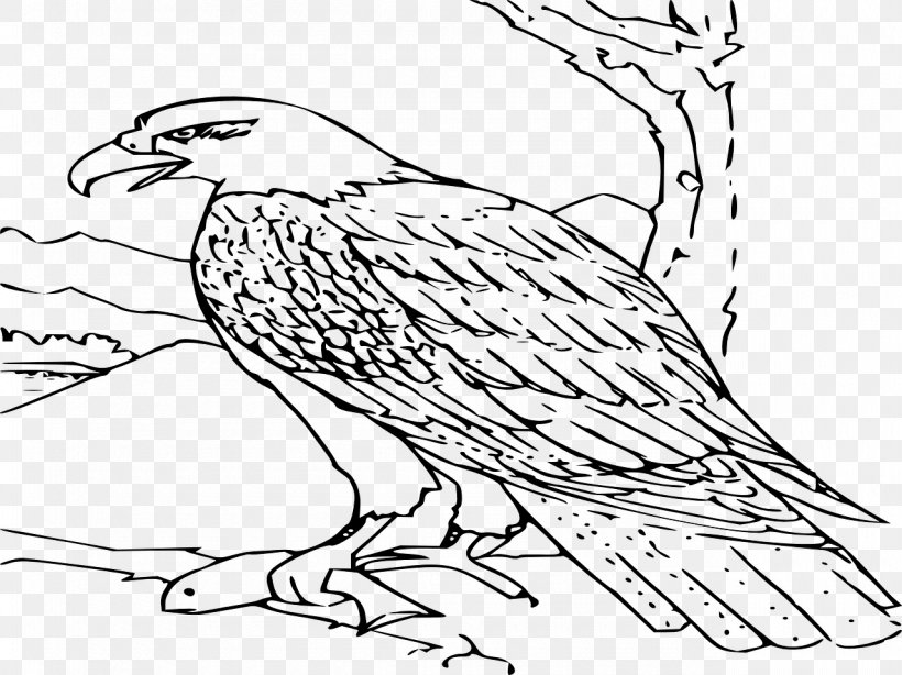 Drawing Bald Eagle Clip Art, PNG, 1280x959px, Drawing, Art, Artwork, Bald Eagle, Beak Download Free