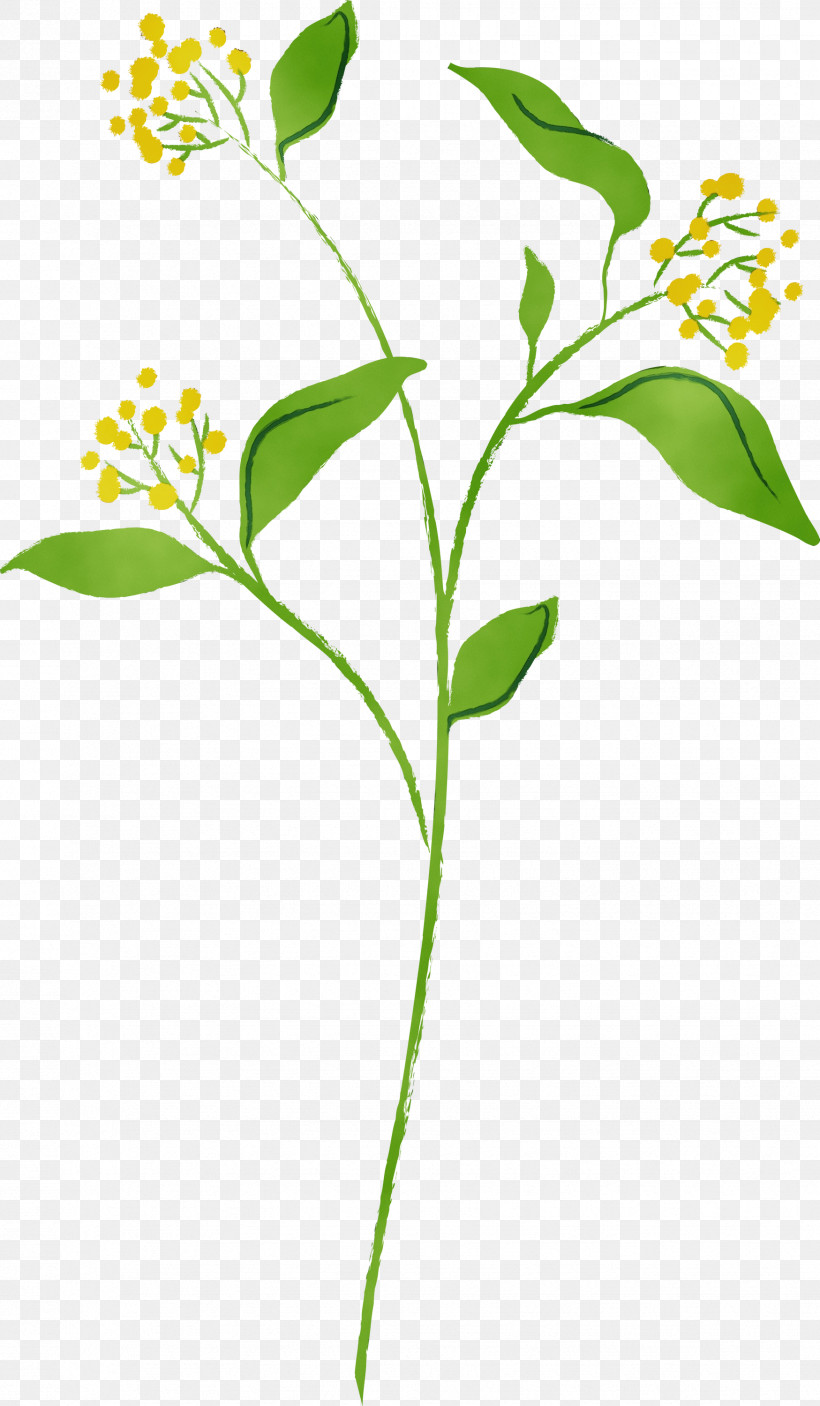 Flower Plant Plant Stem Leaf Pedicel, PNG, 1749x3000px, Watercolor, Flower, Leaf, Paint, Pedicel Download Free