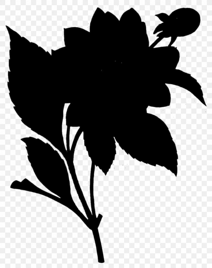 Flowering Plant Drawing Shoeblackplant Design, PNG, 1265x1600px, Flowering Plant, Blackandwhite, Botany, Drawing, Flower Download Free