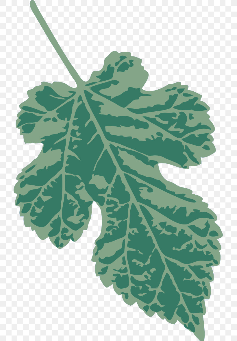 Fruit Tree, PNG, 725x1179px, Leaf, Concord Grape, Fruit Tree, Grape, Grape Leaves Download Free