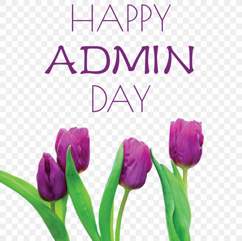Admin Day Administrative Professionals Day Secretaries Day, PNG, 3000x2997px, Admin Day, Administrative Professionals Day, Biology, Cut Flowers, Flower Download Free