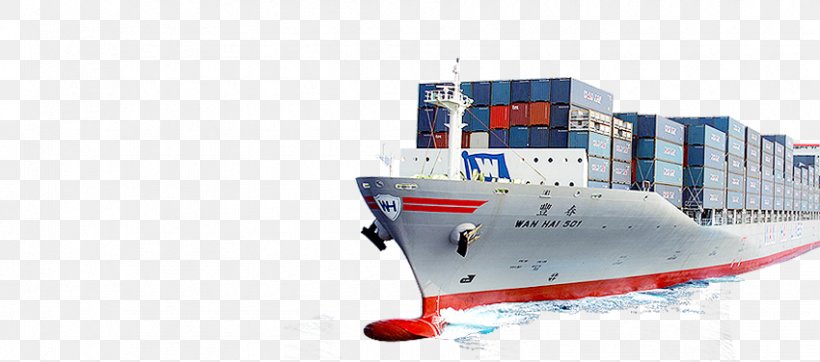 Freight Transport Cargo Container Ship Freight Forwarding Agency, PNG, 850x376px, Freight Transport, Brand, Cargo, Cargo Airline, Cargo Ship Download Free