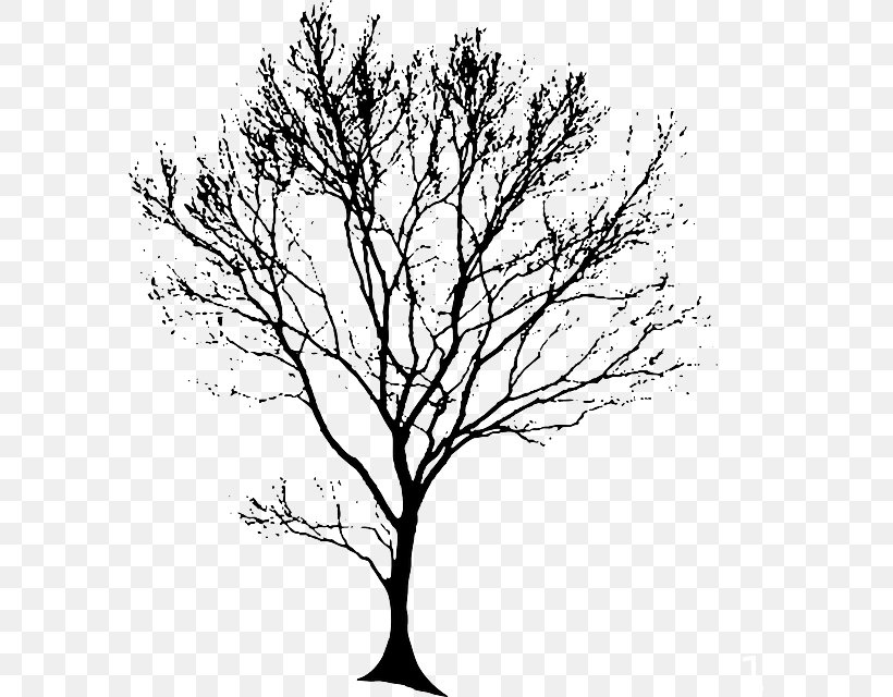 Drawing Tree Clip Art, PNG, 583x640px, Drawing, Art, Black And White, Branch, Flower Download Free