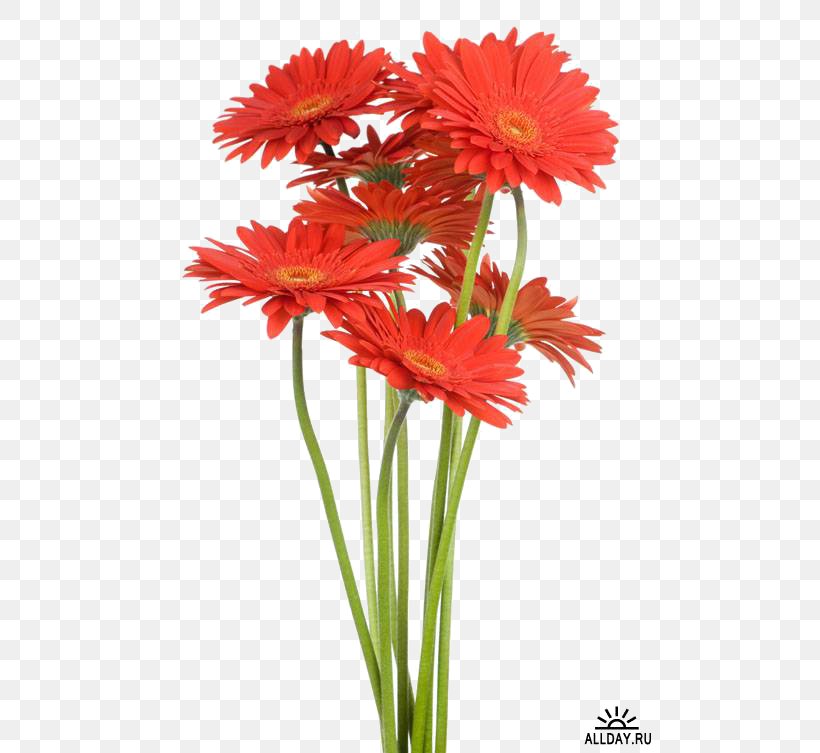 String Trimmer Edger WORX Power Tool, PNG, 500x753px, String Trimmer, Annual Plant, Artificial Flower, Aster, Blanket Flowers Download Free
