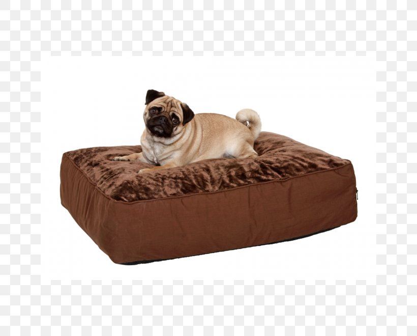 Dog Cushion Bed Throw Pillows Pet Shop, PNG, 660x660px, Dog, Bed, Bed Frame, Carpet, Cat Download Free