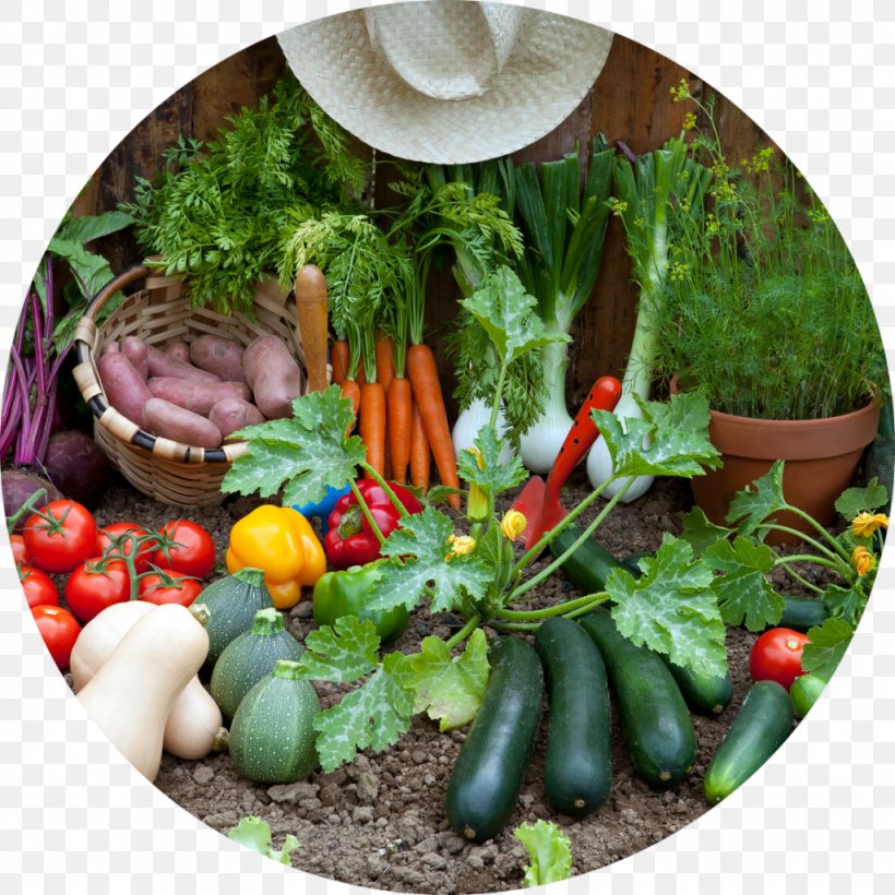 Gardening Harvest Container Garden Kitchen Garden, PNG, 1024x1024px, Garden, Back Garden, Basket, Container Garden, Farm Download Free