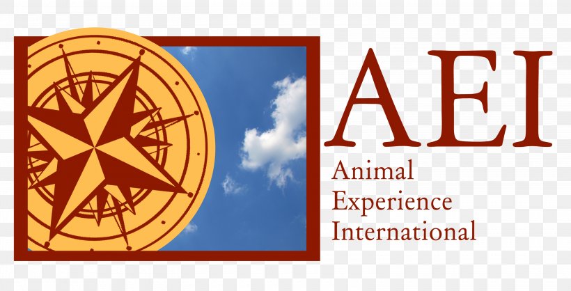 Organization International Volunteering Dog Wildlife Rehabilitation Animal, PNG, 3100x1584px, Organization, Animal, Animal Welfare, Area, B Corporation Download Free