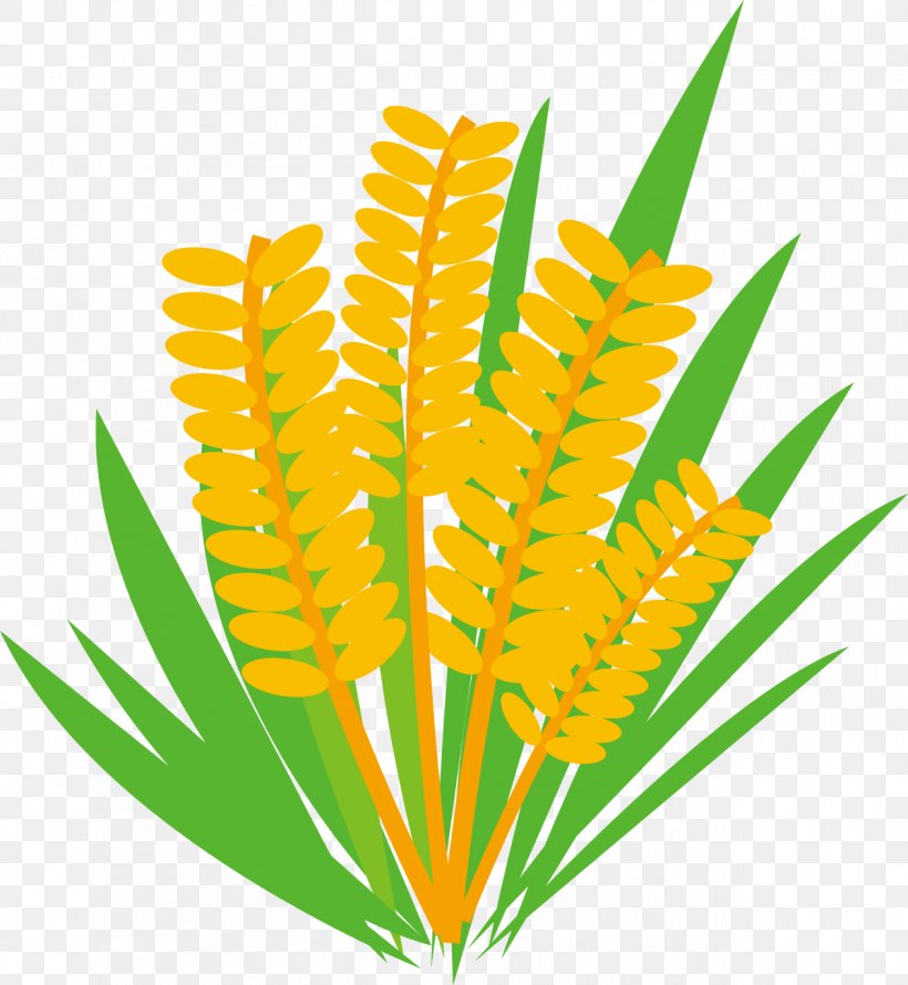 Rice Food Illustration., PNG, 1262x1371px, Leaf, Aquarium, Aquarium Decor, Commodity, Flower Download Free