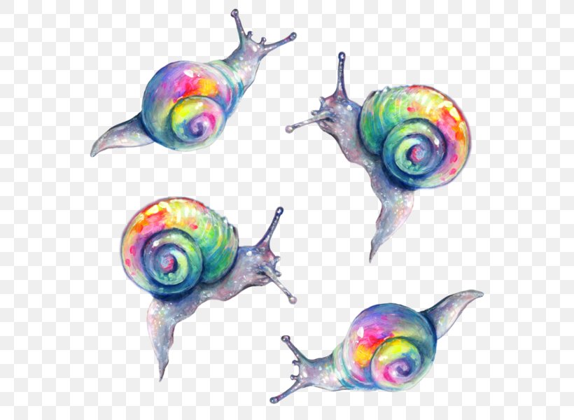 Snail Rainbow Painting Slug Color, PNG, 600x600px, Snail, Art, Color, Drawing, Gastropods Download Free