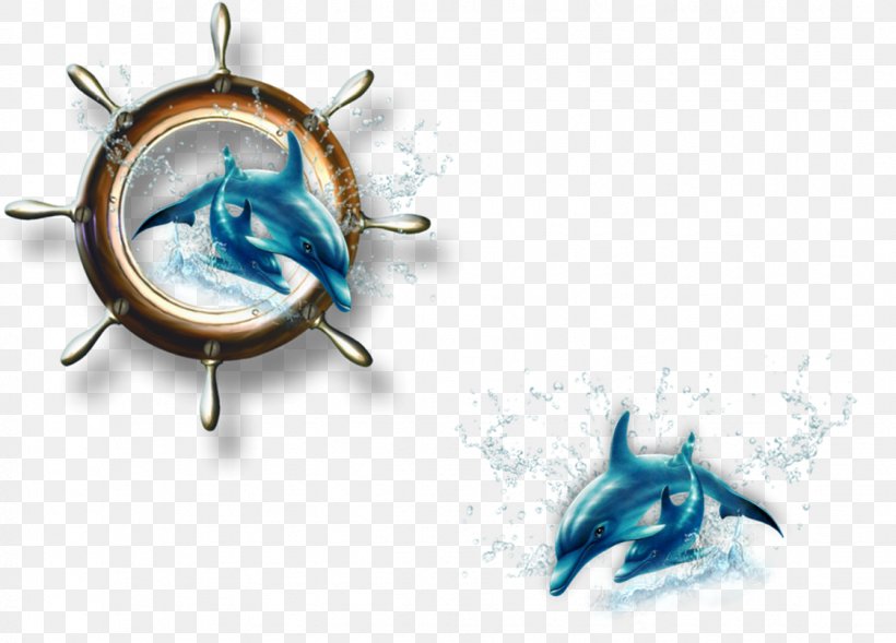 Z3, PNG, 1122x806px, Wink, Body Jewellery, Body Jewelry, Book, Dolphin Download Free