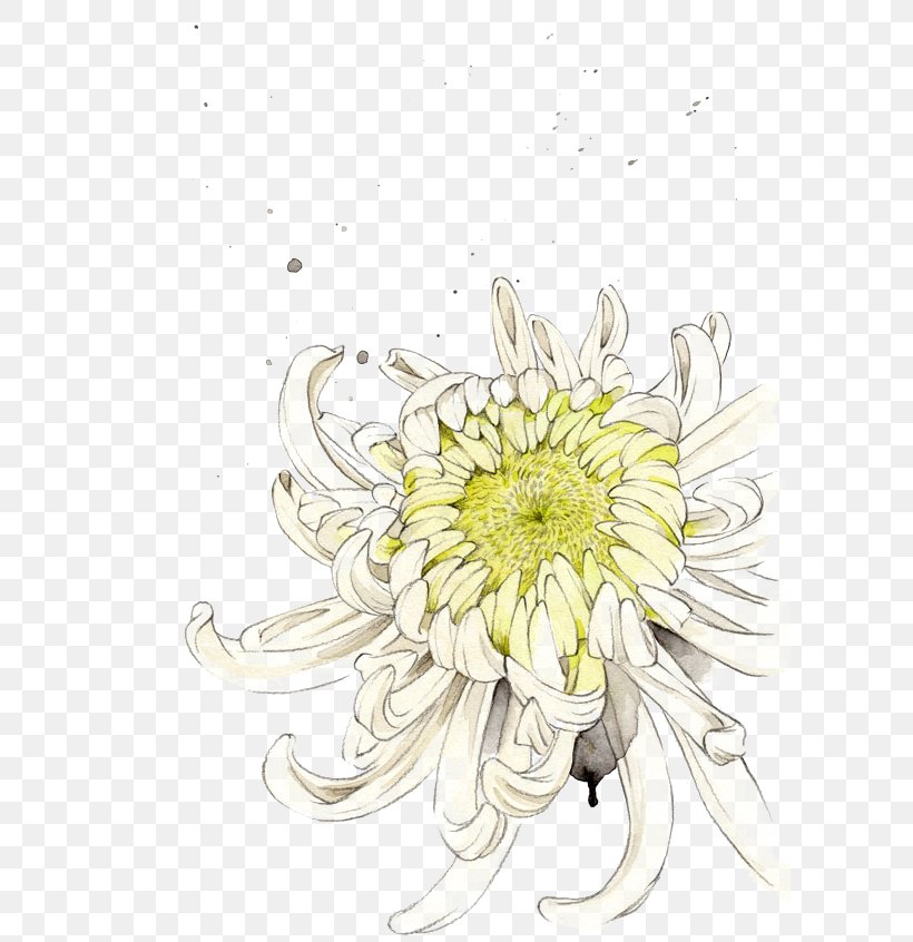 Chrysanthemum Floral Design Flower Illustration, PNG, 600x846px, Chrysanthemum, Chrysanths, Cut Flowers, Dahlia, Daisy Download Free