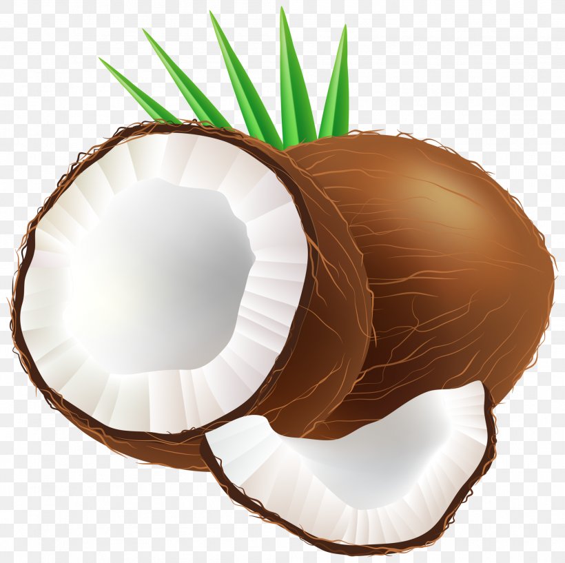 Coconut Water Clip Art, PNG, 2007x2000px, Coconut, Arecaceae, Coconut Water, Commodity, Food Download Free