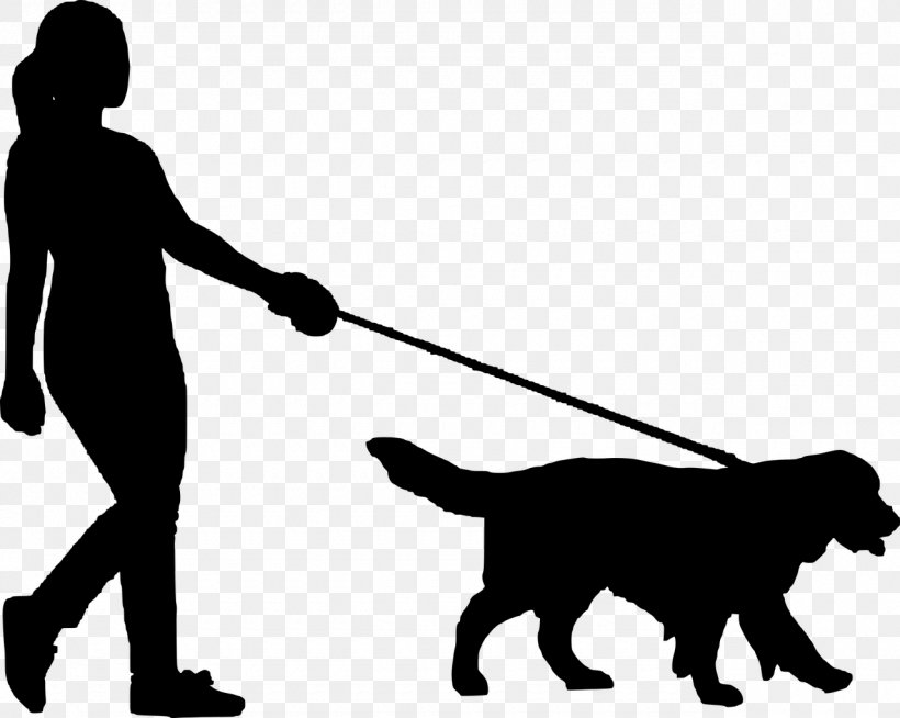 Dog Walking Pet Sitting Border Collie Kennel, PNG, 1280x1021px, Dog Walking, Black, Black And White, Border Collie, Carnivoran Download Free