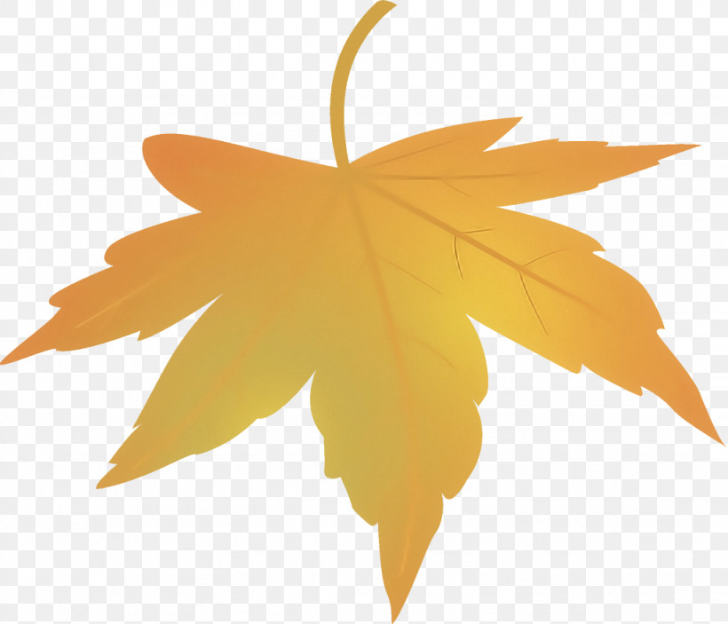 Maple Leaf Fallen Leaf Dead Leaf, PNG, 1026x880px, Maple Leaf, Autumn Leaf, Black Maple, Dead Leaf, Deciduous Download Free