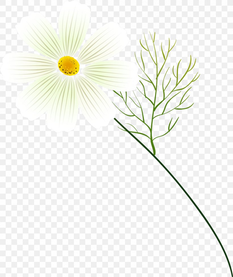Oxeye Daisy Petal Dandelion Leaf Plant Stem, PNG, 1011x1200px, Oxeye Daisy, Botany, Camomile, Chamomile, Daisy Download Free