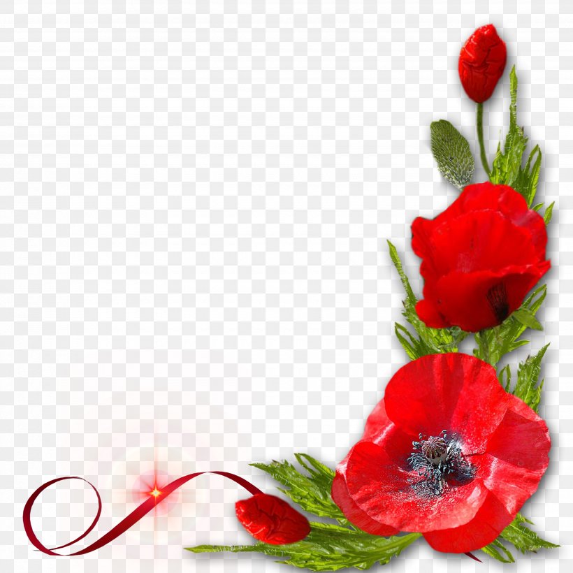 Poppy Red Flower, PNG, 3500x3500px, Poppy, Bordure, Color, Coquelicot, Floral Design Download Free