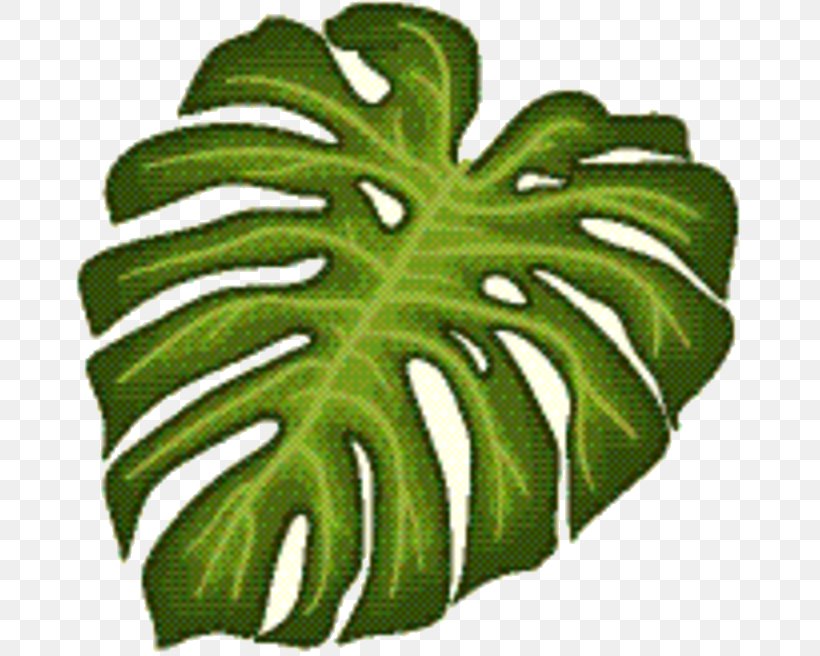 Green Leaf Background, PNG, 679x656px, Plant Stem, Alismatales, Botany, Flower, Fruit Download Free