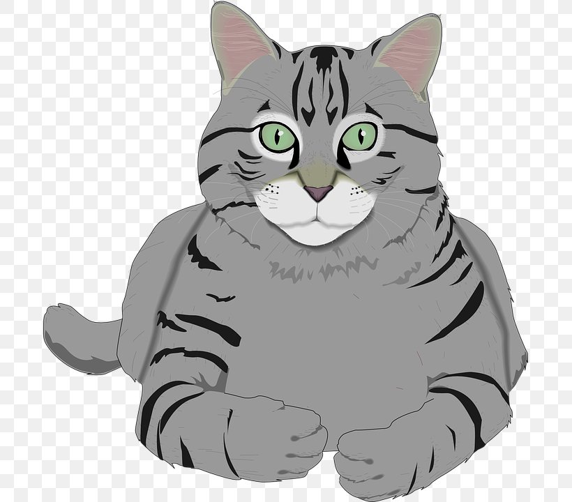 Tabby Cat Clip Art Kitten Openclipart, PNG, 695x720px, Cat, American Wirehair, Animal, Black Cat, Carnivoran Download Free