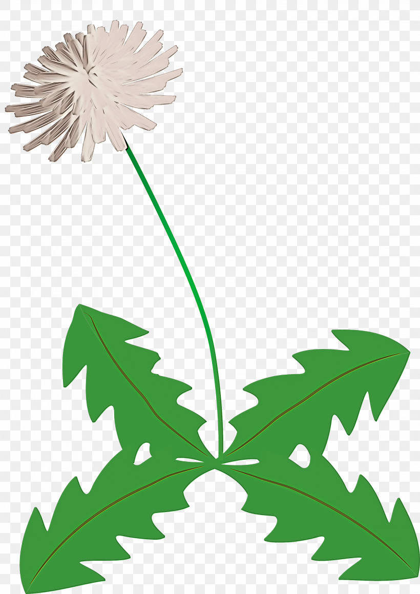 Dandelion Flower, PNG, 2121x2999px, Dandelion Flower, Amaryllidaceae, Chamomile, Common Dandelion, Dandelion Download Free