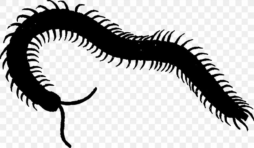 Eye Clip Art Line, PNG, 4000x2331px, Eye, Centipede, Eyelash, Fictional Character, Invertebrate Download Free