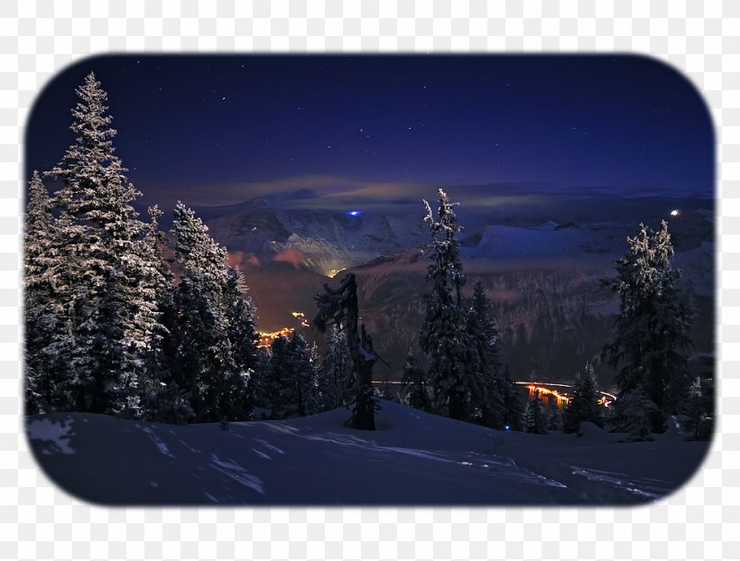 Light Desktop Wallpaper Tree HVGA Snow, PNG, 992x753px, Light, Geological Phenomenon, Hvga, Landscape, Mobile Phones Download Free