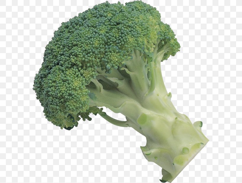 Broccoli Slaw Leaf Vegetable, PNG, 600x621px, Broccoli Slaw, Broccoli, Display Resolution, Food, Image File Formats Download Free
