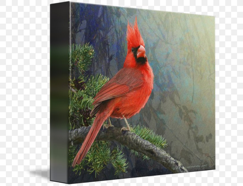 Gallery Wrap Canvas Art Printmaking Feather, PNG, 650x630px, Gallery Wrap, Art, Beak, Bird, Canvas Download Free