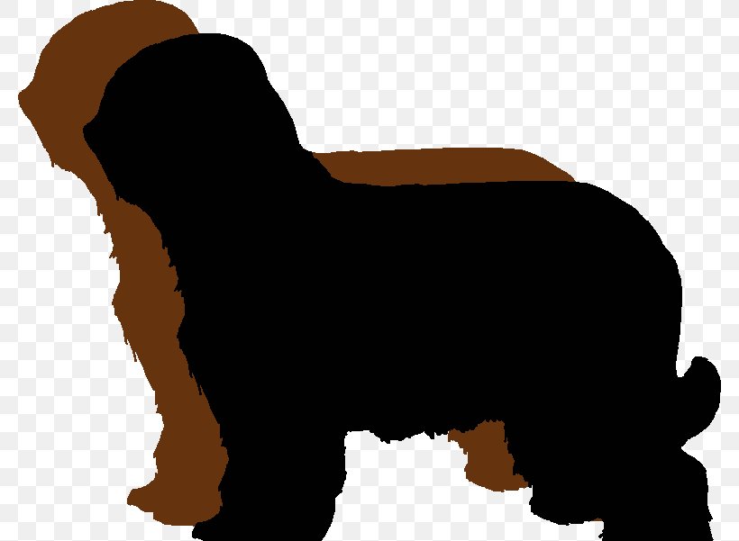 Dog Breed Briard Bearded Collie Bouvier Des Flandres Bernese Mountain Dog, PNG, 786x601px, Dog Breed, Bearded Collie, Bernese Mountain Dog, Bouvier Des Flandres, Breed Download Free