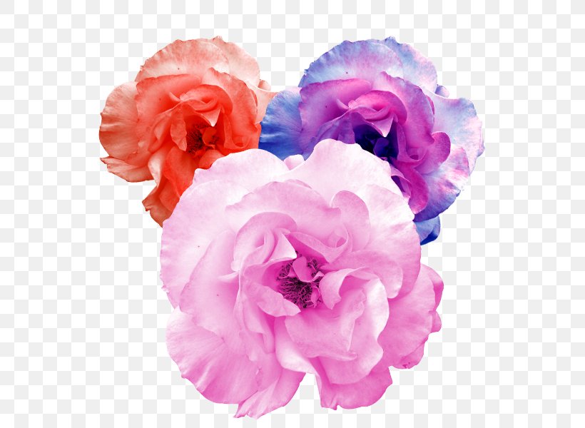 Garden Roses Artificial Flower, PNG, 600x600px, Garden Roses, Artificial Flower, Azalea, Carnation, Centifolia Roses Download Free