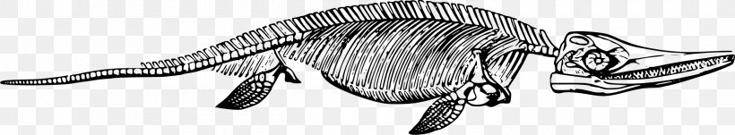 Ichthyosaur Clip Art, PNG, 2400x444px, Ichthyosaur, Auto Part, Black, Black And White, Bone Download Free