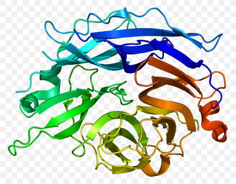 NEU2 Neuraminidase Protein Sialic Acid Gene, PNG, 815x640px, Neuraminidase, Area, Art, Artwork, Chromosome Download Free