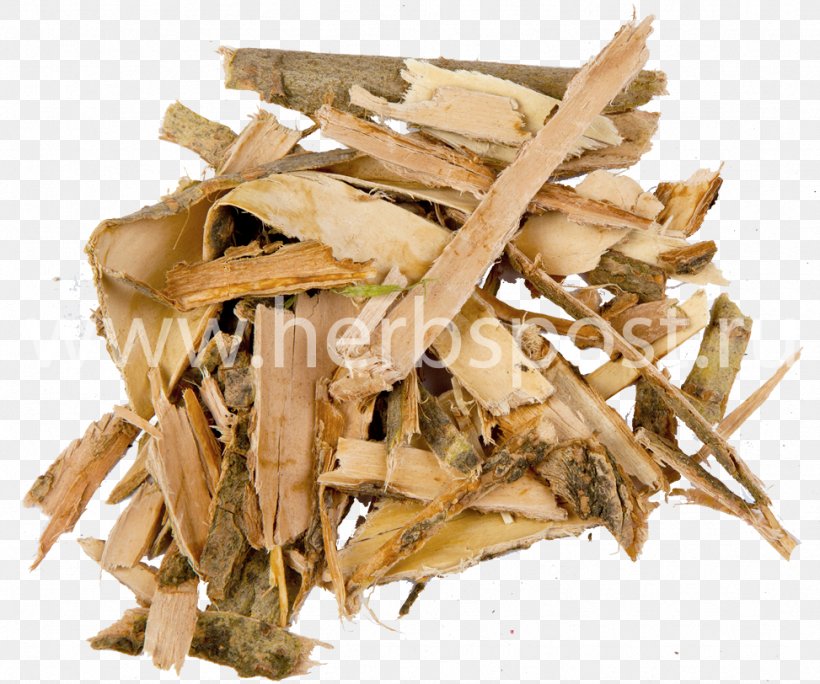 Neuralgia Abdominal Cutaneous Nerve Entrapment Syndrome Medicinal Plants Pain Herbaceous Plant, PNG, 973x812px, Neuralgia, Animal Source Foods, Bark, Herb, Herbaceous Plant Download Free