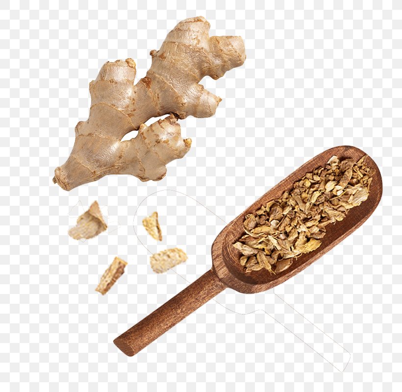 Ginger Indian Cuisine Vegetable Spice, PNG, 800x800px, Ginger, Commodity, Flavor, Food, Grater Download Free