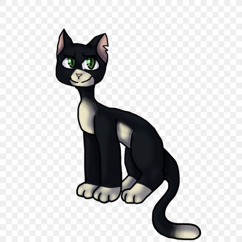Korat Black Cat Kitten Domestic Short-haired Cat Whiskers, PNG, 894x894px, Korat, Black Cat, Carnivoran, Cartoon, Cat Download Free