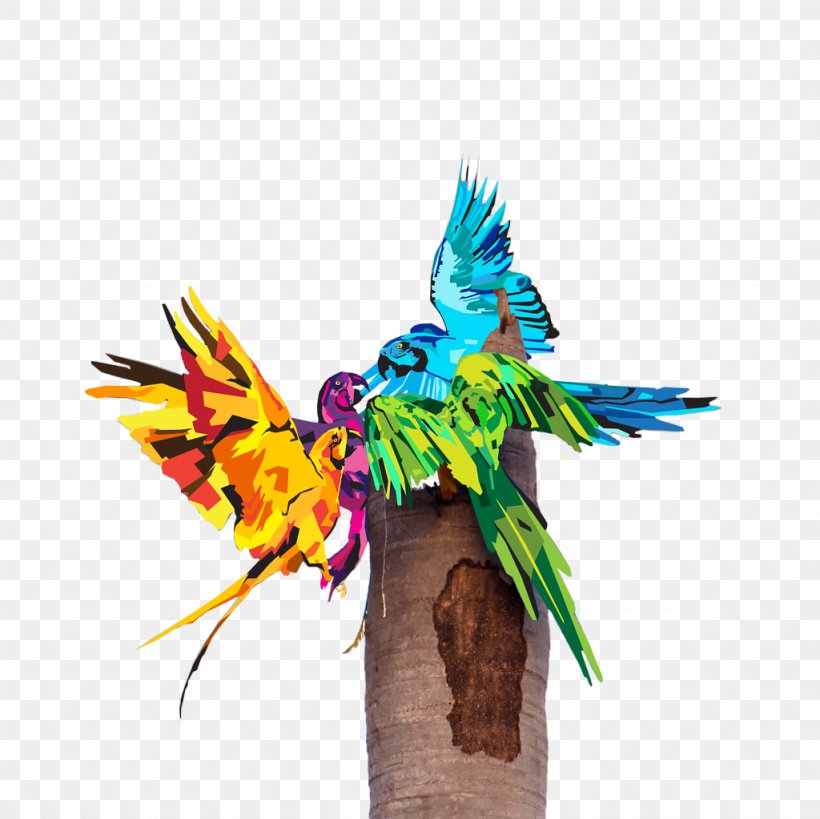 Macaw Parrot Illustration Parakeet Beak, PNG, 1024x1023px, Macaw, Animation, Beak, Bird, Common Pet Parakeet Download Free