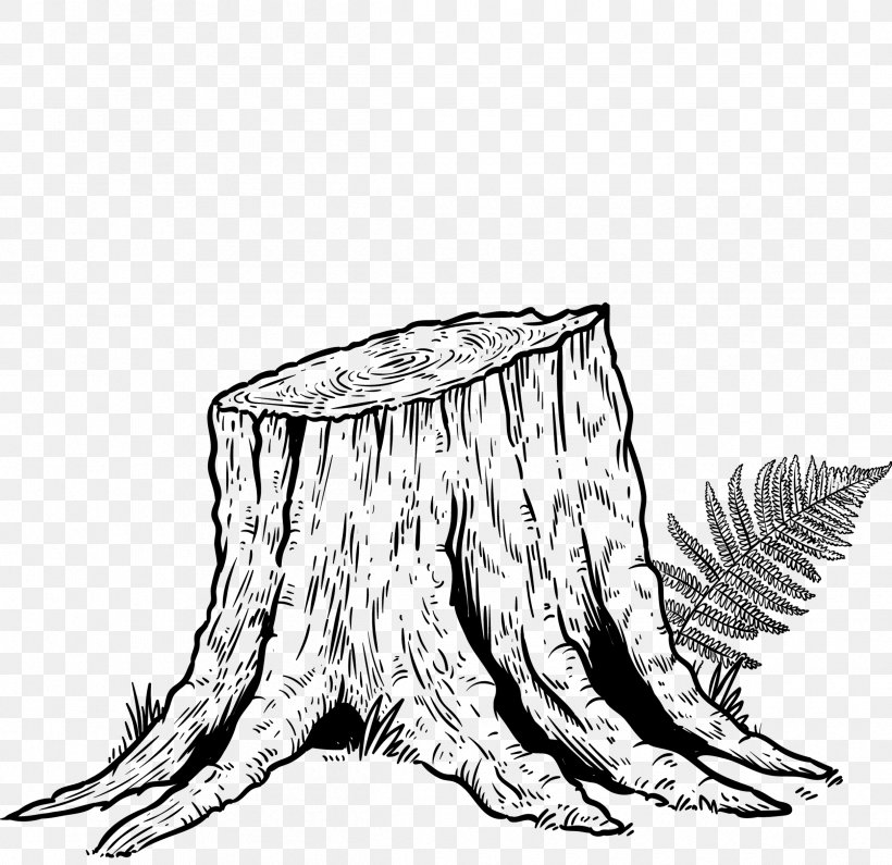 How To Draw A Tree Trunk
