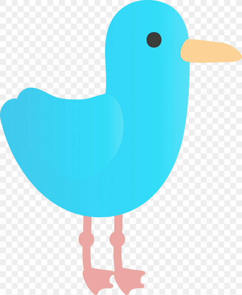 Bird Turquoise Beak Water Bird Duck, PNG, 2455x2999px, Watercolor, Beak, Bird, Duck, Paint Download Free
