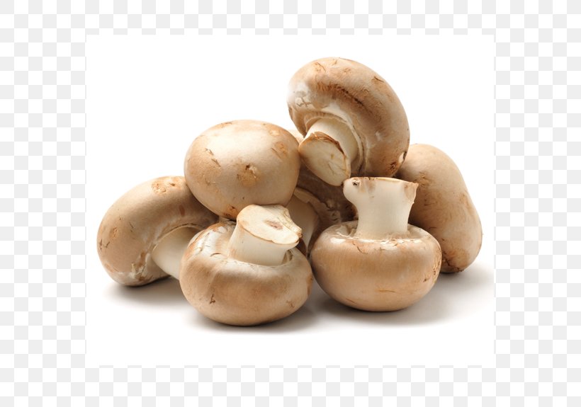 Common Mushroom Edible Mushroom How To Grow Mushrooms Oyster, PNG, 575x575px, Common Mushroom, Agaricaceae, Agaricomycetes, Agaricus, Boletus Edulis Download Free