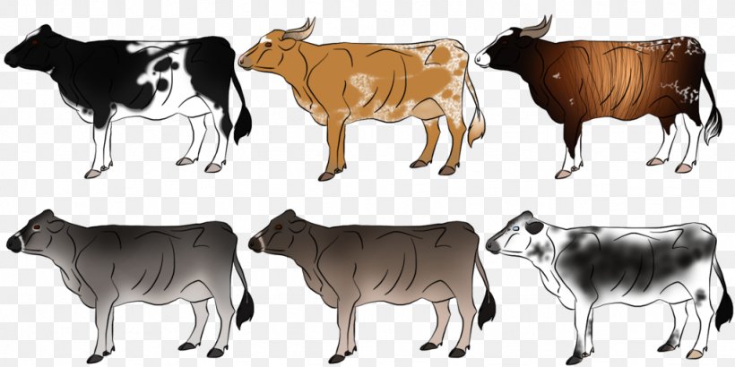 Dairy Cattle Zebu Ox Clip Art Wildlife, PNG, 1024x512px, Dairy Cattle, Animal, Animal Figure, Bull, Calf Download Free