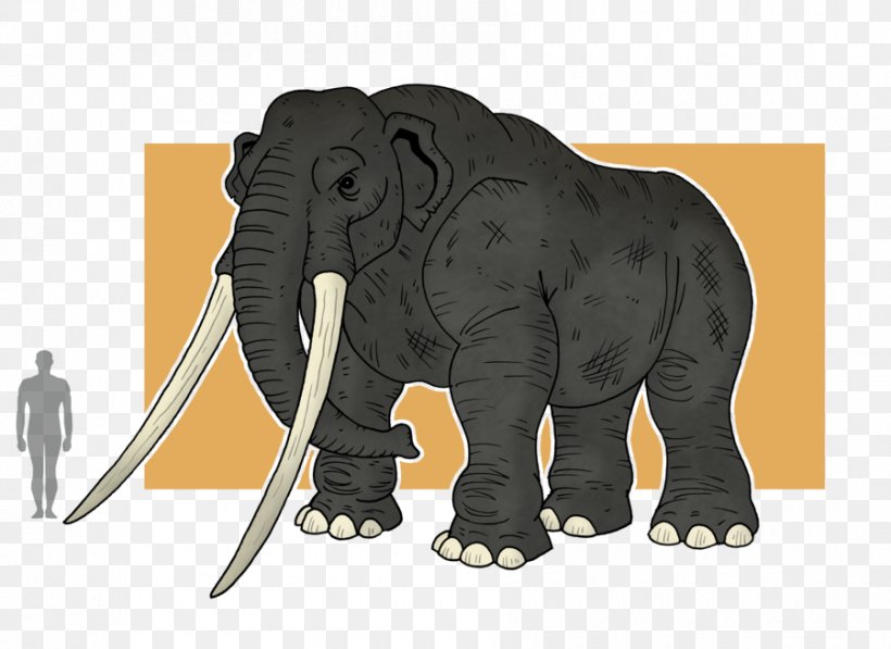 Indian Elephant African Elephant Wildlife Elephantidae, PNG, 900x656px, Indian Elephant, African Elephant, Animal, Elephant, Elephantidae Download Free