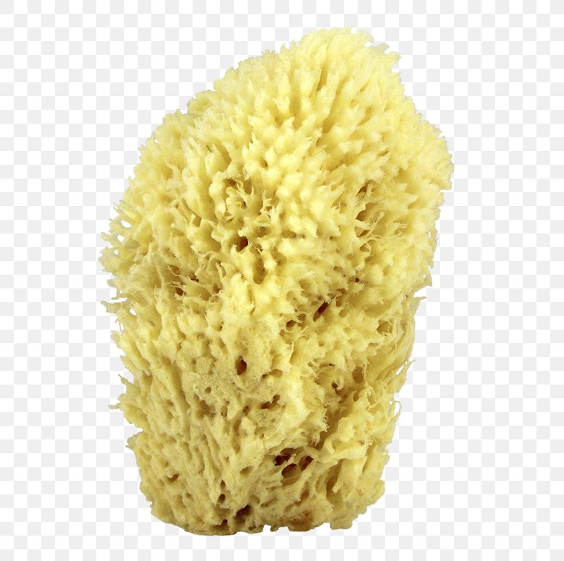 Sponge Bathing Soap Luffa Bath & Body Works, PNG, 611x817px, Sponge, Bath Body Works, Bathing, Luffa, Oil Download Free