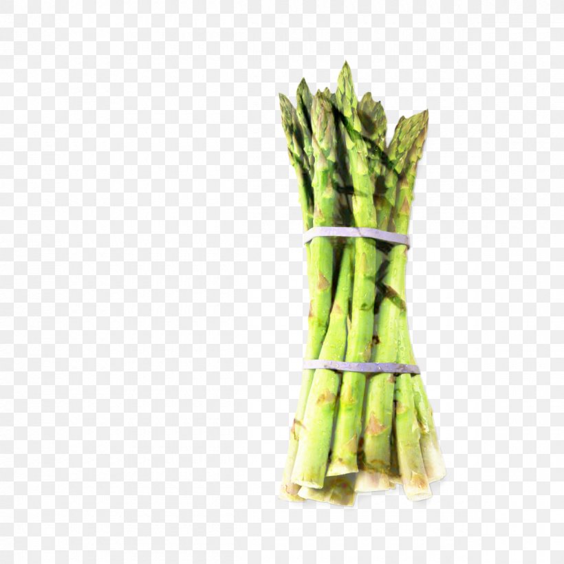 Bamboo Cartoon, PNG, 1200x1200px, Asparagus, Bamboo Shoot, Commodity, Food, Leek Download Free