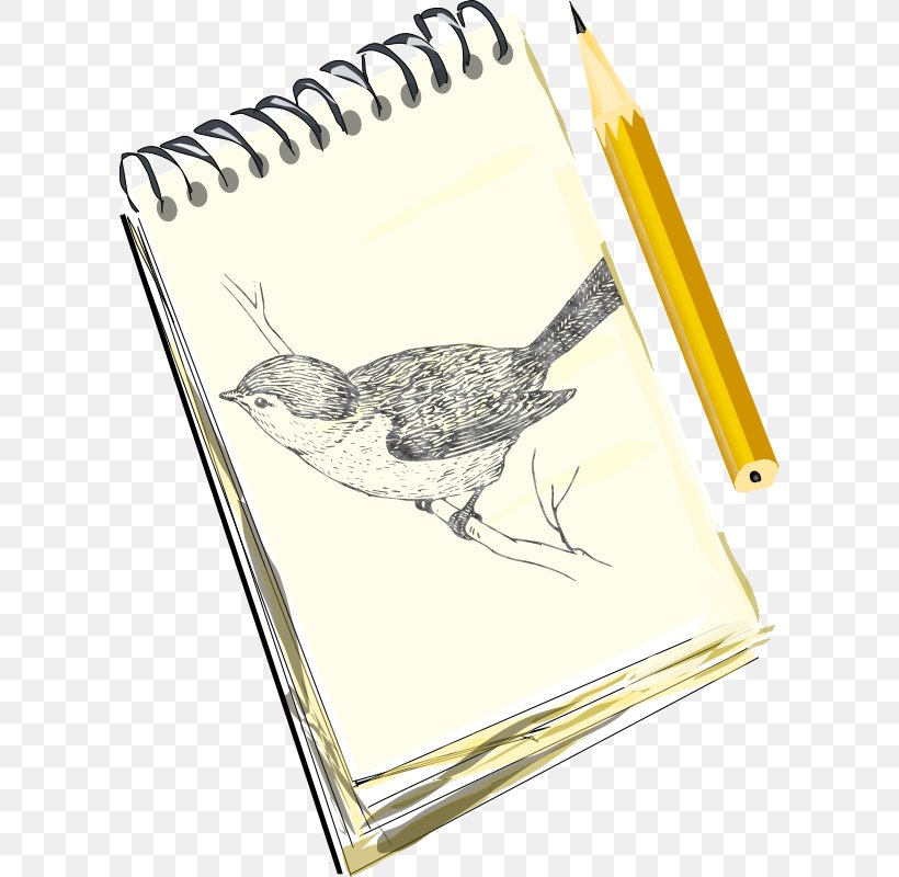 Drawing Sketchbook Pencil Sketch, PNG, 602x800px, Drawing, Art, Beak, Bird, Bird Of Prey Download Free