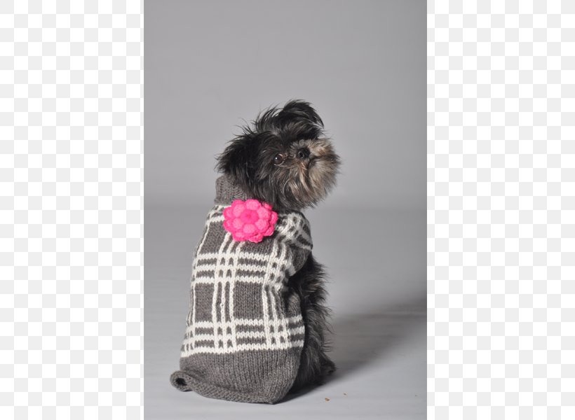 Dog Breed Affenpinscher Schnoodle Puppy Miniature Schnauzer, PNG, 600x600px, Dog Breed, Affenpinscher, Clothing, Coat, Cuteness Download Free