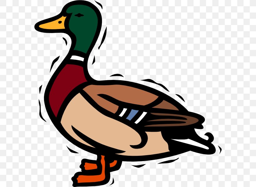 Duck Mallard Free Content Clip Art, PNG, 600x599px, Duck, Artwork, Beak, Bird, Blog Download Free