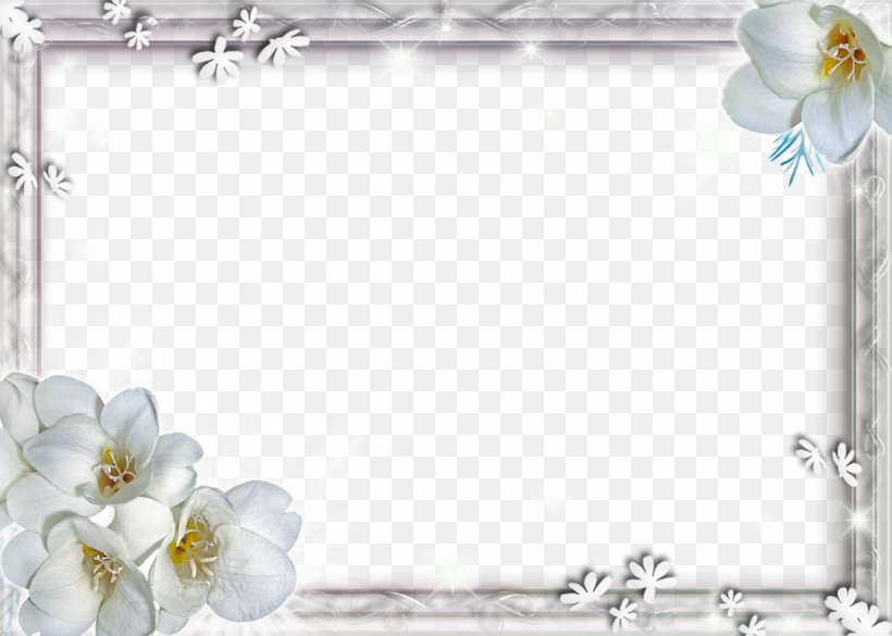 Flower Wallpaper, PNG, 1280x914px, Flower, Bit, Display Resolution, Image File Formats, Information Download Free