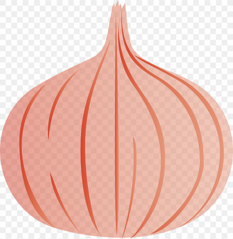 Onion, PNG, 2922x3000px, Onion, Biology, Fruit, Geometry, Leaf Download Free